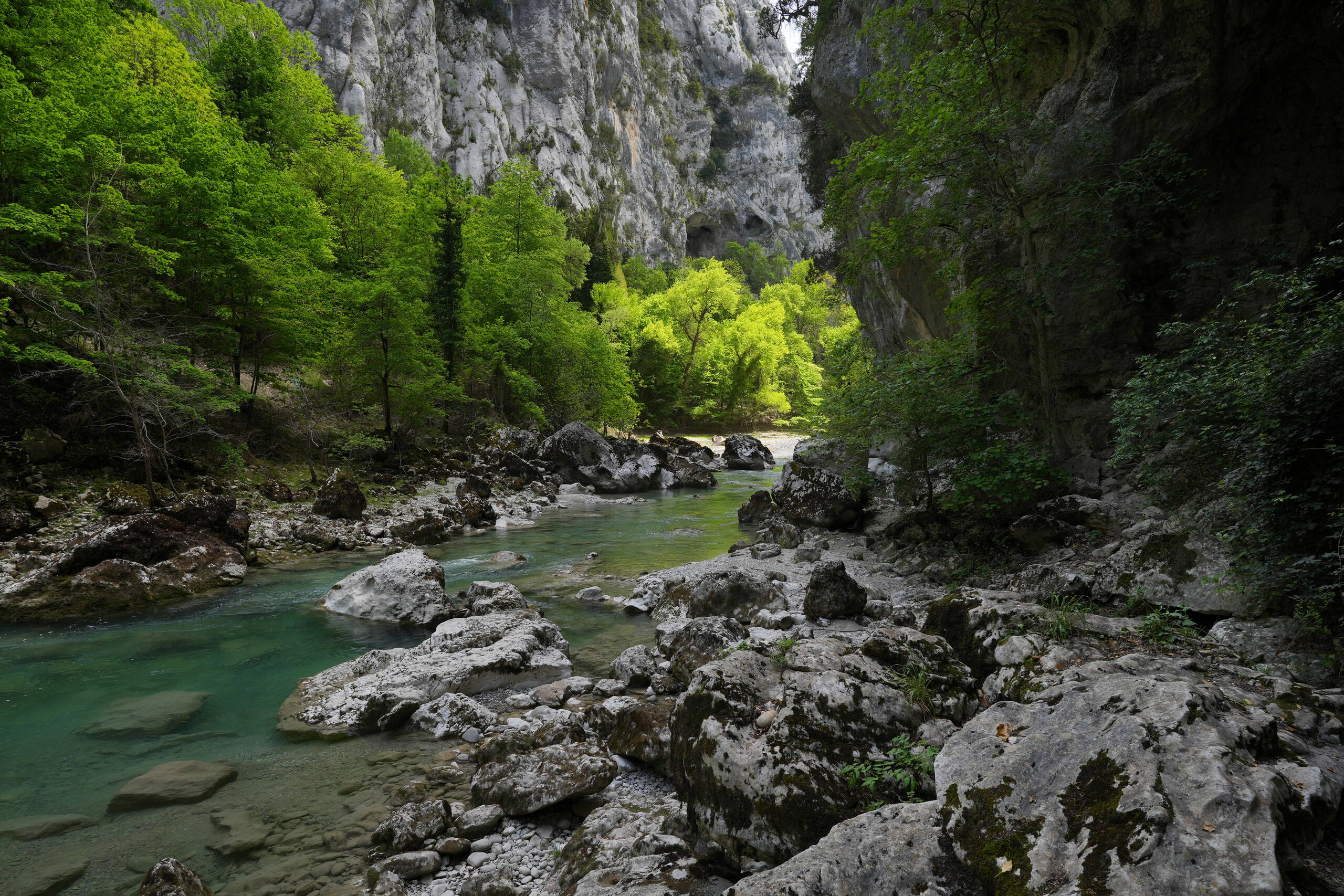 An image of river pretty.